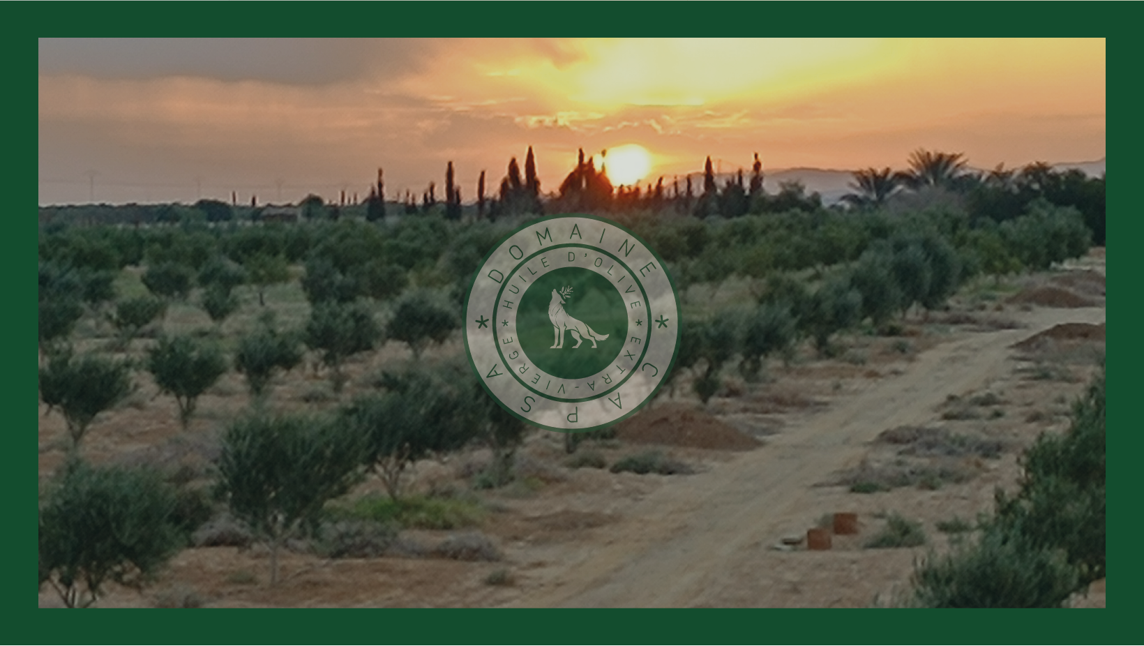 OLIVERAIE FAMILIALE