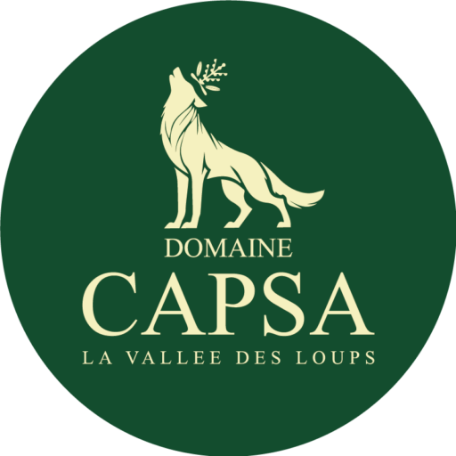 HUILE D'OLIVE DU DESERT